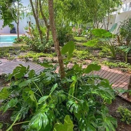 Apartment Dk32 15 Min To Jungle *pool *gym *