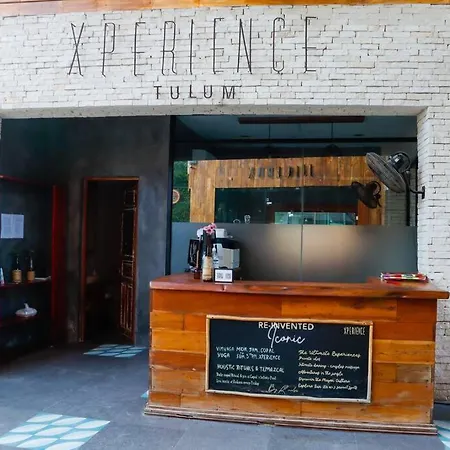 Xperience 39 *