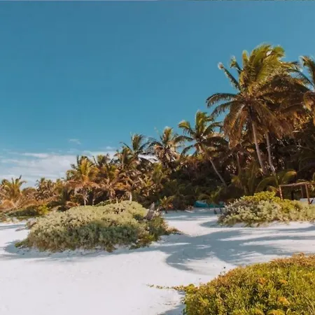 Hacienda 4 Bedrooms In * Tulum