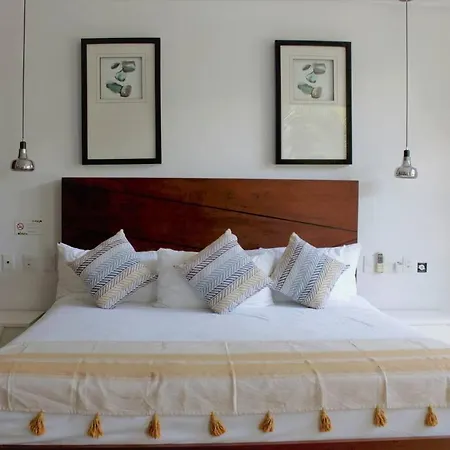 F102 Park By Sandy Powerful Apartment *