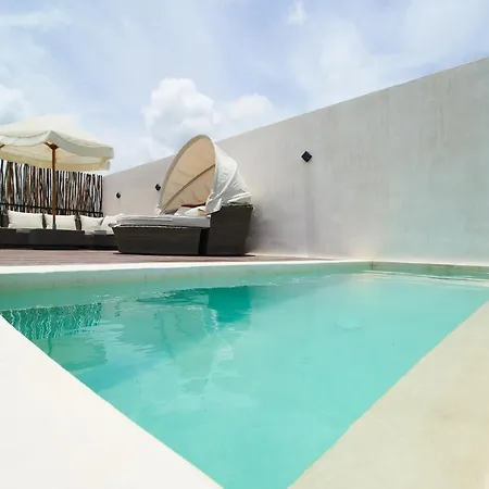 High-end Penthouse In With Private Sun Roof & Plunge Pool Apartment