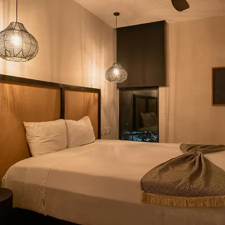 Apartment Exquisite Penthouse In Vibrant With Private Rooftop Terrace & Plunge Pool Tulum