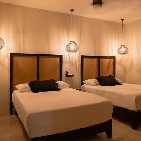 Exquisite Penthouse In Vibrant With Private Rooftop Terrace & Plunge Pool Apartment Tulum