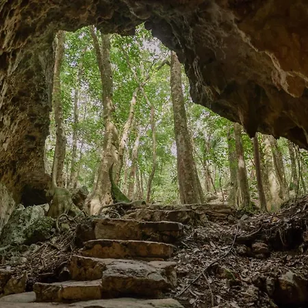 Villa Naum - Secluded With Private Cenote Tulum