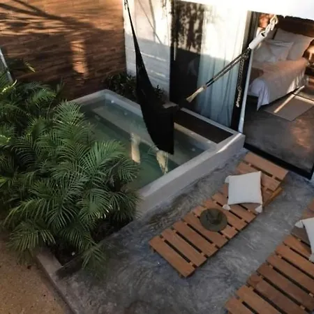 Hermoso Condominio Boutique Con 8 Departamentos De Lujo Estilo Mexicano Moderno Ubicado En La Veleta *