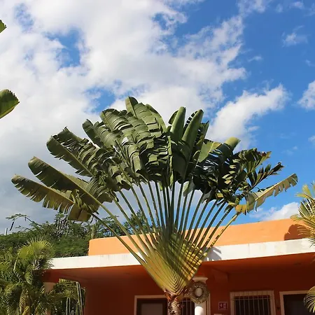 Mexico Y Nubes Apartment