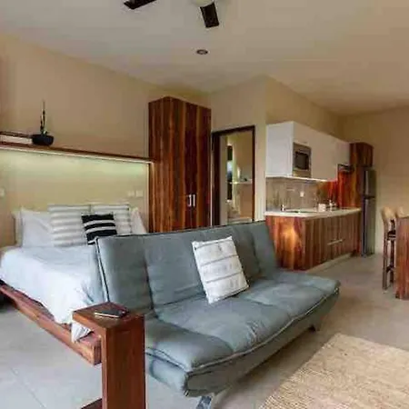Lujoso Departamento Con Jacuzzi Privado Apartment
