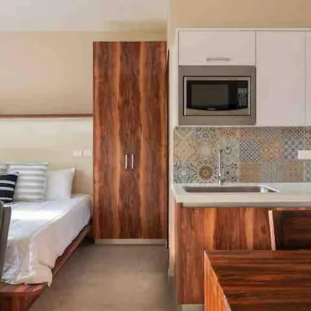 Lujoso Departamento Con Jacuzzi Privado Apartment *