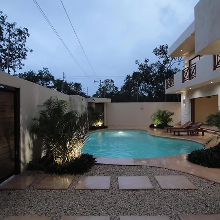 In Studio - Casa Kaban Boutique Beautiful With Kitchenette Free Breakfast Pensión