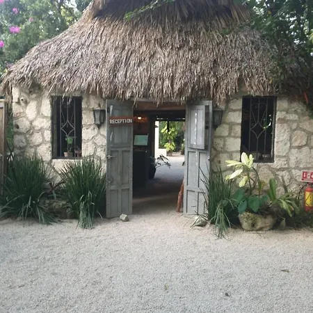 Luxury tent Huayacamp *