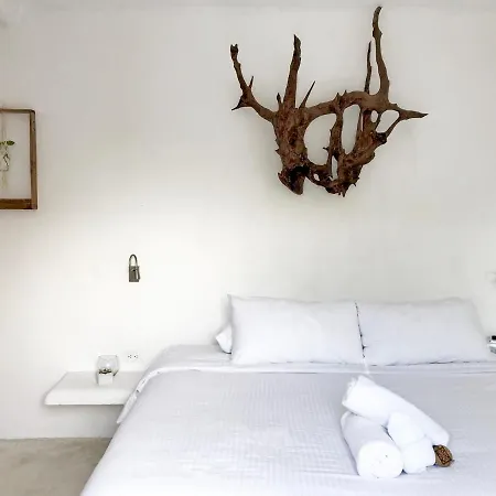 Hotel Coco