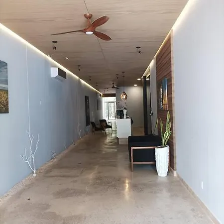 Pent H Sin Cocina Con Piscina Gaia * Tulum