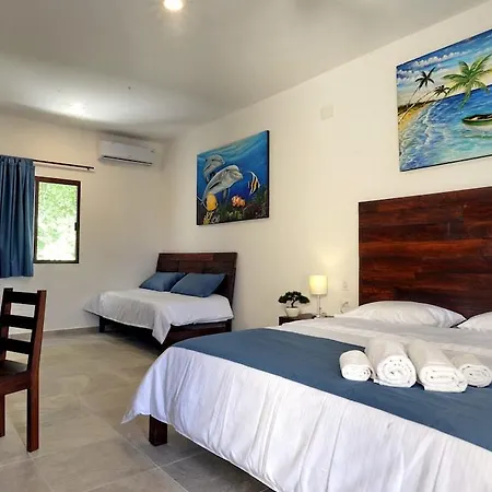 Hotel Basic 3*