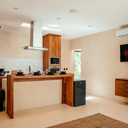 Luxury Large Villa/2 Pools/ Jacuzzi/rooftop/cenote View *