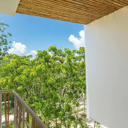 Muuk Vista Panoramica A Selva *