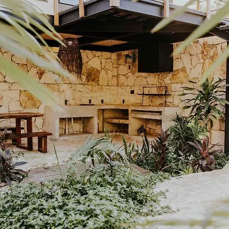 Luxury Treehouse Jungle /casa Danzantes Holiday home *