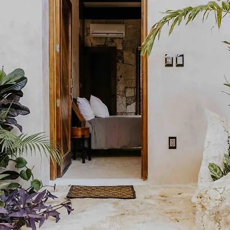 Luxury Treehouse Jungle /casa Danzantes Holiday home *