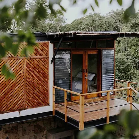 Luxury Treehouse Jungle /casa Danzantes *