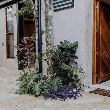 Luxury Treehouse Jungle /casa Danzantes Holiday home