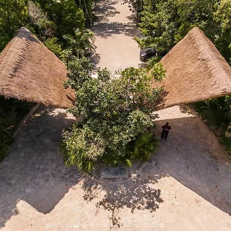 Spacious And Comfy Aptm In Aldea Zama * Tulum