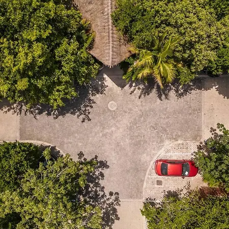 Spacious And Comfy Aptm In Aldea Zama Tulum