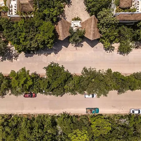Spacious And Comfy Aptm In Aldea Zama * Tulum