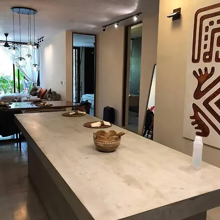 Apartment Luxury 2 Bdr 2 Bth 2 Bikes Jacuzzi Fiboptic Wifi.