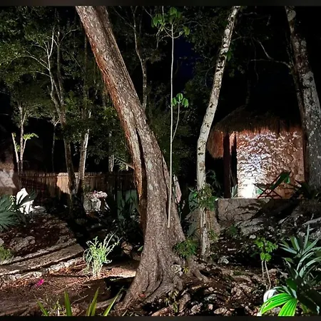 Jungle Lofts Apartment