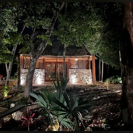 Jungle Lofts Apartment *