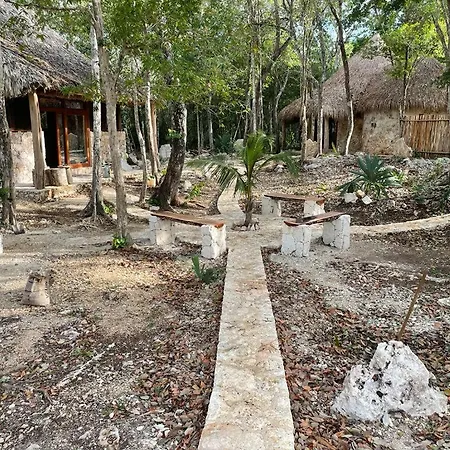 Apartment Jungle Lofts Tulum