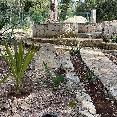 Jungle Lofts * Tulum