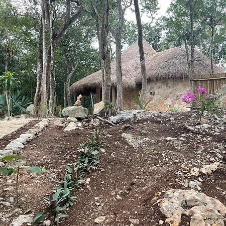Jungle Lofts * Tulum