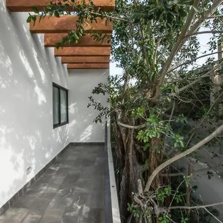 Villa With Jacuzzi & Pool With Great Concierge Service Tulum