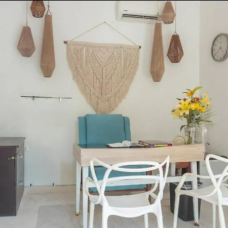 Enchanting Studio: Embrace The Heart Of Mexi