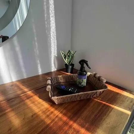 Lush Rooftop With Ensuite Pool & Wifi Apartment Tulum