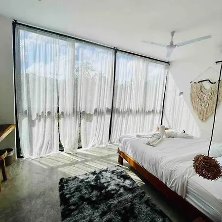 Lush Rooftop With Ensuite Pool & Wifi Apartment