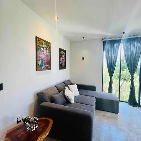 Lush Rooftop With Ensuite Pool & Wifi Apartment *