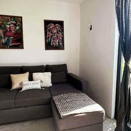 Lush Rooftop With Ensuite Pool & Wifi Apartment *