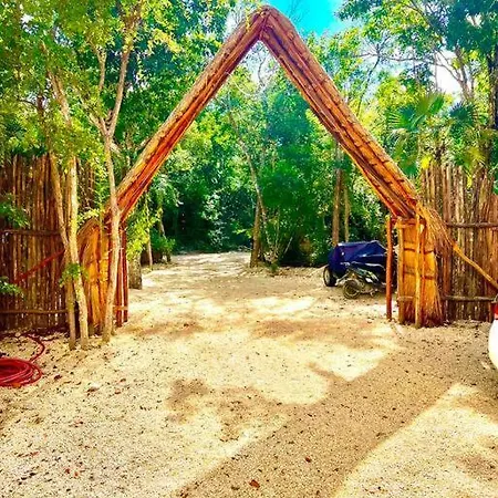 Lush Rooftop With Ensuite Pool & Wifi * Tulum
