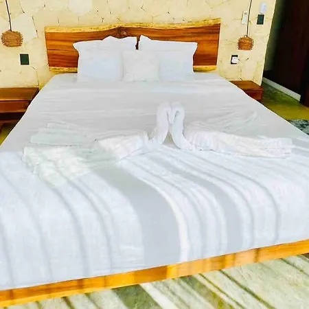 Lush Rooftop With Ensuite Pool & Wifi Apartment
