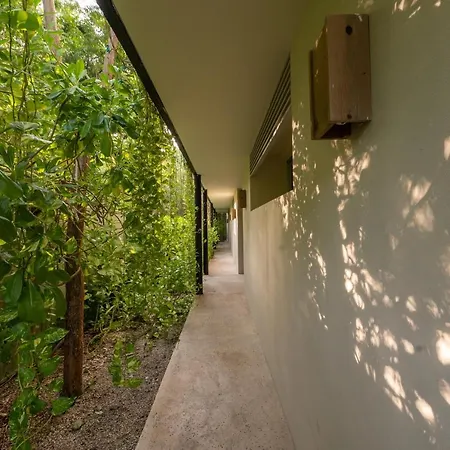 Casa Marisol *