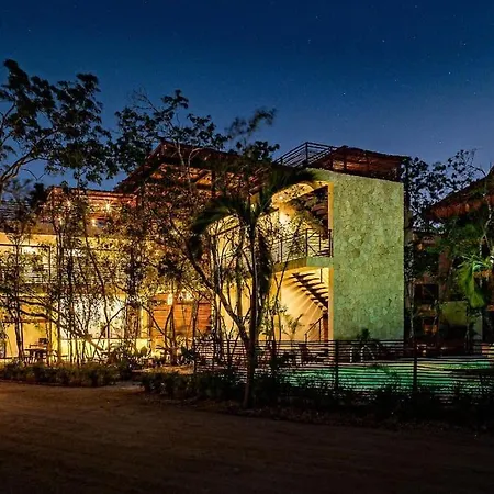 Private Rooftop Penthouse With Pool, Bbq & Jungle View Apartment Tulum