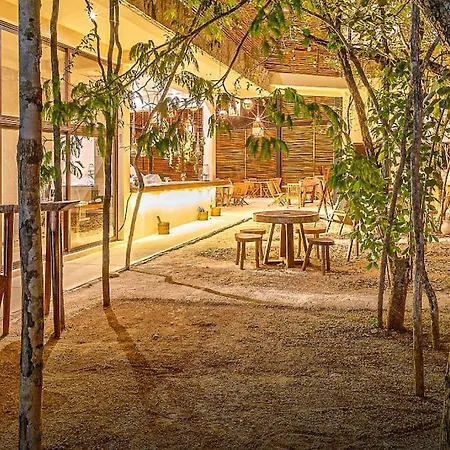 Apartment Private Rooftop Penthouse With Pool, Bbq & Jungle View Tulum