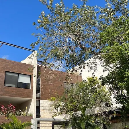 Luxury Zen Like 2 Story 3room With Rooftop Deck Pool