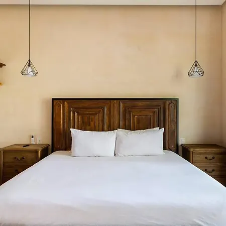 Villa Enjoy Nature At Villa With 100 Year Old Tree, Private Pool & Concierge Service Tulum