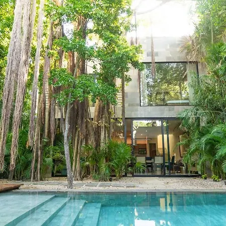 Enjoy Nature At Villa With 100 Year Old Tree, Private Pool & Concierge Service Villa Tulum