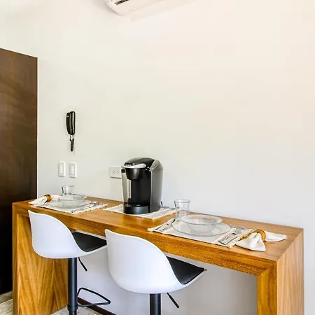 Menesse #204a Downtown Hotel *