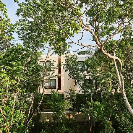 Afra 3 Beautiful Jungle House With Private Pool