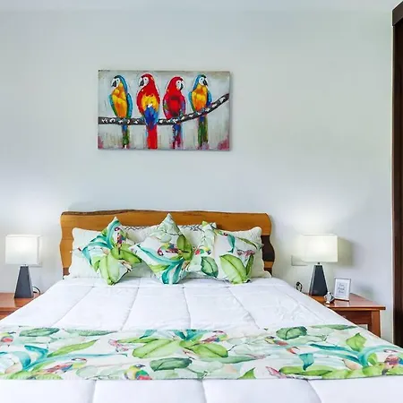 Holiday home Casa Alegria By Sandy Powerful *