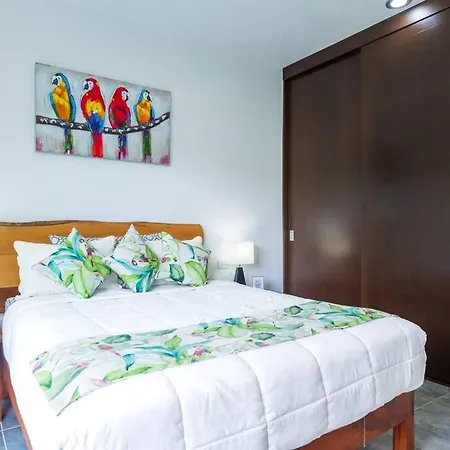 Casa Alegria By Sandy Powerful Tulum